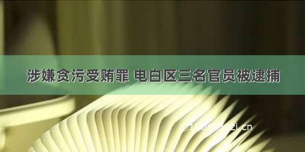 涉嫌贪污受贿罪 电白区三名官员被逮捕