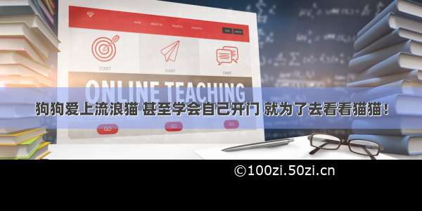 狗狗爱上流浪猫 甚至学会自己开门 就为了去看看猫猫！