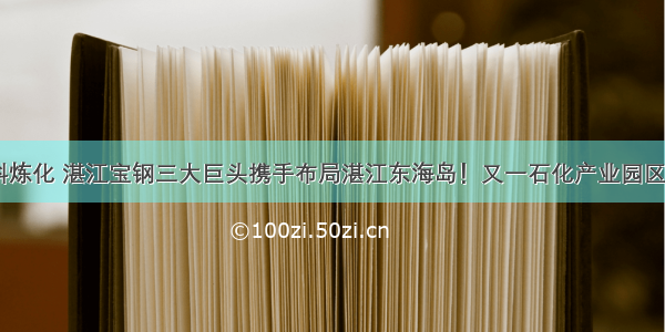 巴斯夫 中科炼化 湛江宝钢三大巨头携手布局湛江东海岛！又一石化产业园区巨无霸雏形