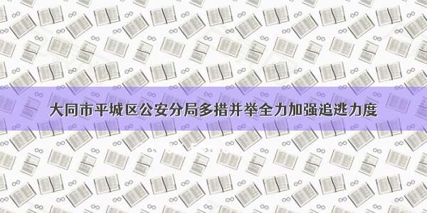 大同市平城区公安分局多措并举全力加强追逃力度