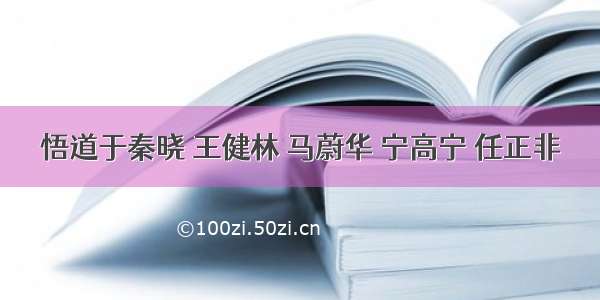 悟道于秦晓 王健林 马蔚华 宁高宁 任正非