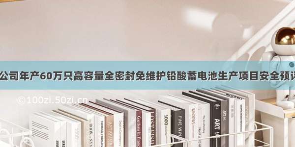 xx电源有限公司年产60万只高容量全密封免维护铅酸蓄电池生产项目安全预评价报告.doc