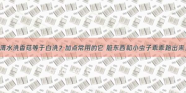 清水洗香菇等于白洗？加点常用的它 脏东西和小虫子乖乖跑出来！