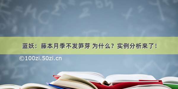 蓝妖：藤本月季不发笋芽 为什么？实例分析来了！