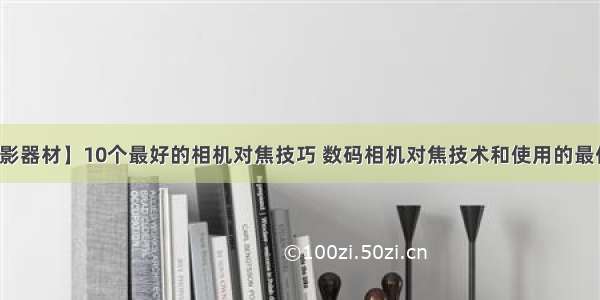 【摄影器材】10个最好的相机对焦技巧 数码相机对焦技术和使用的最佳设置