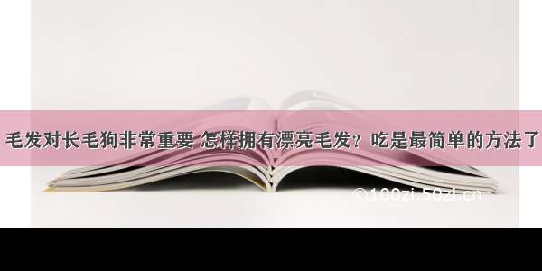 毛发对长毛狗非常重要 怎样拥有漂亮毛发？吃是最简单的方法了