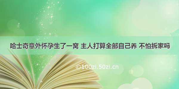 哈士奇意外怀孕生了一窝 主人打算全部自己养 不怕拆家吗