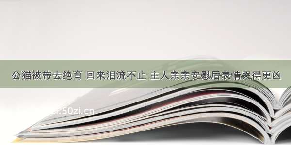 公猫被带去绝育 回来泪流不止 主人亲亲安慰后表情哭得更凶