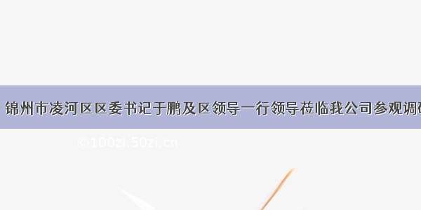 热烈欢迎：锦州市凌河区区委书记于鹏及区领导一行领导莅临我公司参观调研指导工作