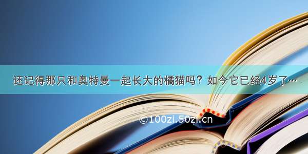 还记得那只和奥特曼一起长大的橘猫吗？如今它已经4岁了…