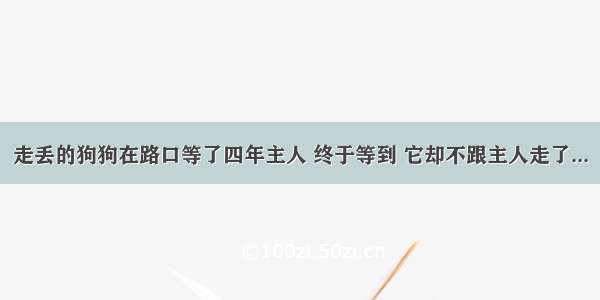 走丢的狗狗在路口等了四年主人 终于等到 它却不跟主人走了...