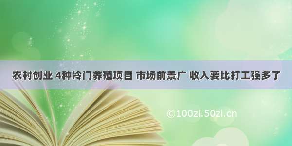 农村创业 4种冷门养殖项目 市场前景广 收入要比打工强多了