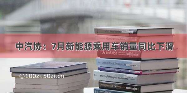 中汽协：7月新能源乘用车销量同比下滑