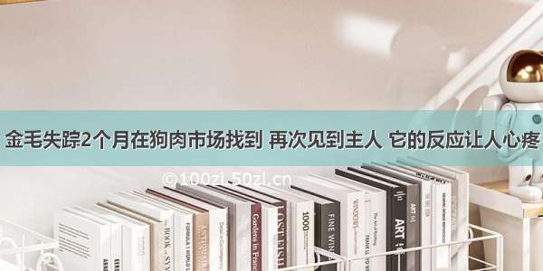 金毛失踪2个月在狗肉市场找到 再次见到主人 它的反应让人心疼