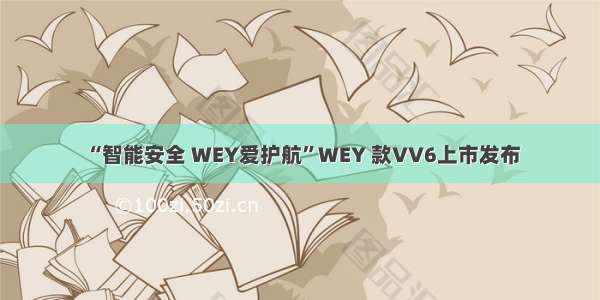 “智能安全 WEY爱护航”WEY 款VV6上市发布