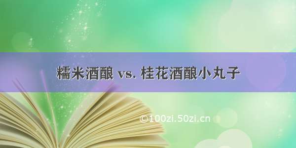 糯米酒酿 vs. 桂花酒酿小丸子