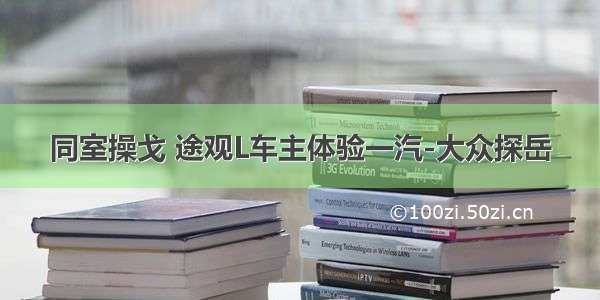 同室操戈 途观L车主体验一汽-大众探岳