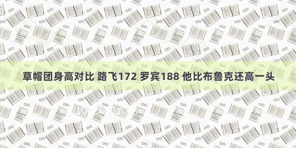 草帽团身高对比 路飞172 罗宾188 他比布鲁克还高一头