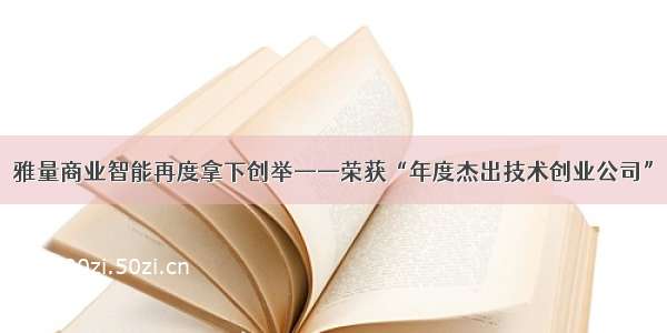 雅量商业智能再度拿下创举——荣获“年度杰出技术创业公司”