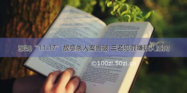 蒙城“11.17”故意杀人案告破 三名犯罪嫌疑人落网