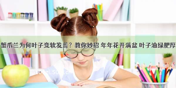 蟹爪兰为何叶子变软发蔫？教你妙招 年年花开满盆 叶子油绿肥厚