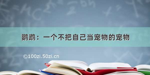 鹦鹉：一个不把自己当宠物的宠物