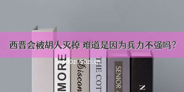 西晋会被胡人灭掉 难道是因为兵力不强吗？