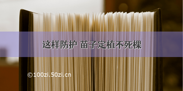 这样防护 苗子定植不死棵