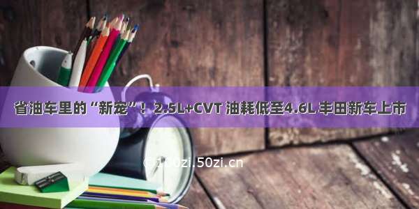 省油车里的“新宠”！2.5L+CVT 油耗低至4.6L 丰田新车上市