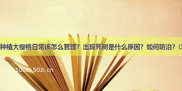 种植大樱桃日常该怎么管理？出现死树是什么原因？如何防治？​