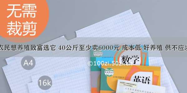 农民想养殖致富选它 40公斤至少卖6000元 成本低 好养殖 供不应求