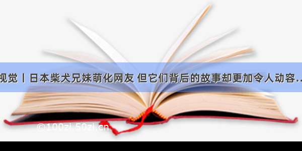 视觉丨日本柴犬兄妹萌化网友 但它们背后的故事却更加令人动容…