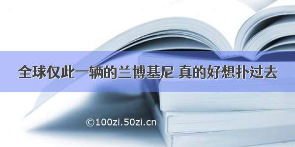 全球仅此一辆的兰博基尼 真的好想扑过去