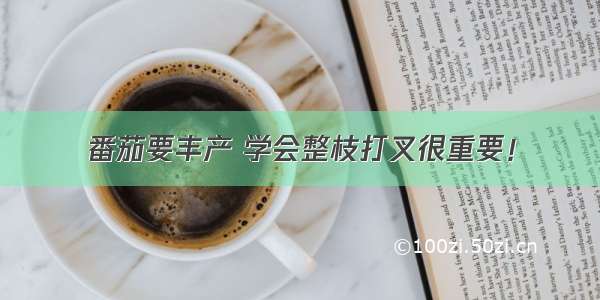 番茄要丰产 学会整枝打叉很重要！