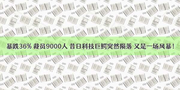 暴跌36% 裁员9000人 昔日科技巨鳄突然陨落 又是一场风暴！