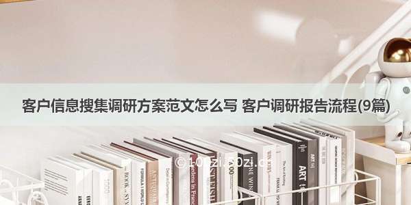 客户信息搜集调研方案范文怎么写 客户调研报告流程(9篇)