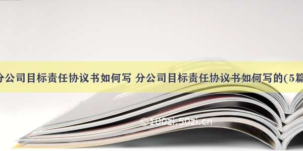 分公司目标责任协议书如何写 分公司目标责任协议书如何写的(5篇)