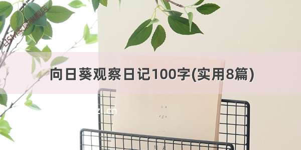 向日葵观察日记100字(实用8篇)