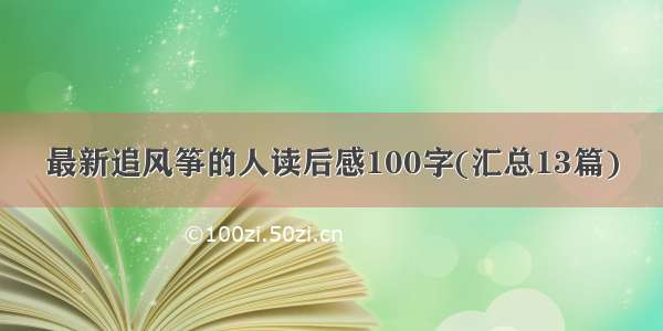 最新追风筝的人读后感100字(汇总13篇)