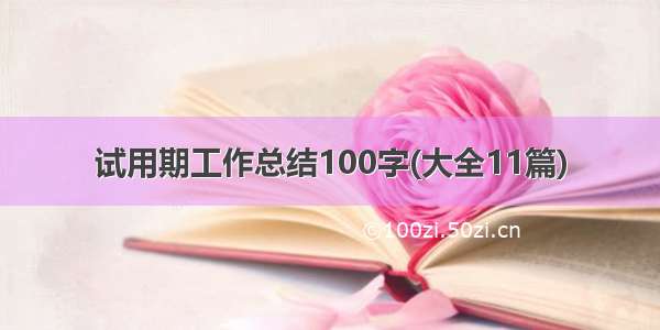 试用期工作总结100字(大全11篇)