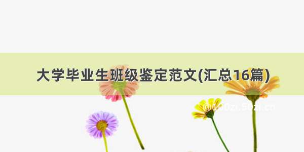 大学毕业生班级鉴定范文(汇总16篇)