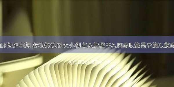 单选题18世纪中期 发动叛乱的大小和卓兄弟属于A.回族B.维吾尔族C.藏族D.满族