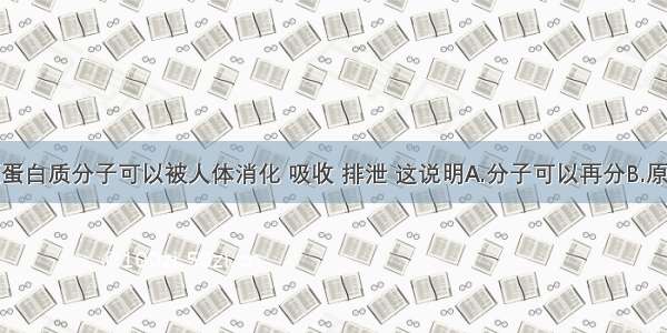 单选题蛋白质分子可以被人体消化 吸收 排泄 这说明A.分子可以再分B.原子是最