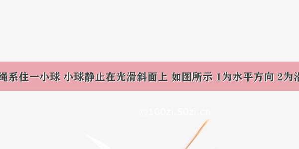 用轻质细绳系住一小球 小球静止在光滑斜面上 如图所示 1为水平方向 2为沿斜面方向