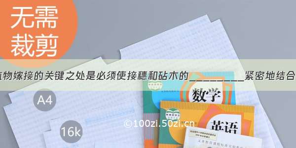 填空题植物嫁接的关键之处是必须使接穗和砧木的________紧密地结合在一起。