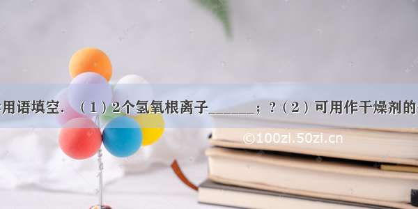 按要求用化学用语填空．（1）2个氢氧根离子______；?（2）可用作干燥剂的生石灰______