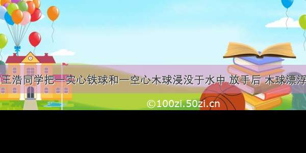 实验中学的王浩同学把一实心铁球和一空心木球浸没于水中 放手后 木球漂浮而铝球下沉