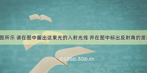 如图所示 请在图中画出这束光的入射光线 并在图中标出反射角的度数．