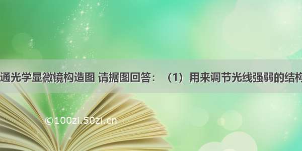 下图为一普通光学显微镜构造图 请据图回答：（1）用来调节光线强弱的结构是[______]_