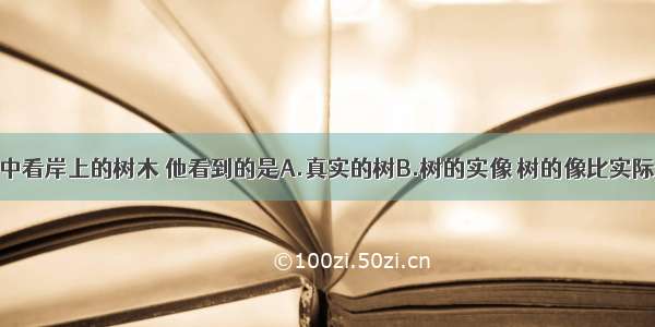 潜水员从水中看岸上的树木 他看到的是A.真实的树B.树的实像 树的像比实际的树要高C.